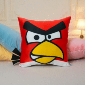 friends frame quirky cushion