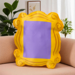 friends frame quirky cushion
